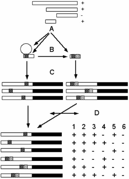 Fig. (1)