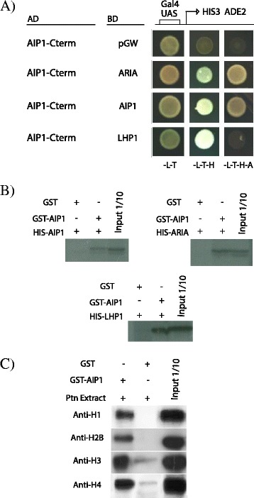 Fig. 8