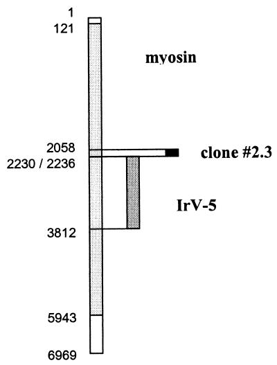 FIG. 6