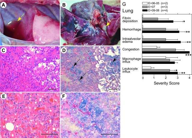 Figure 3-6932