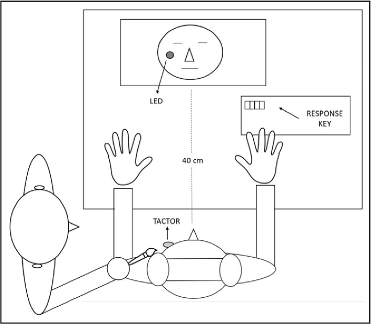 Fig 1