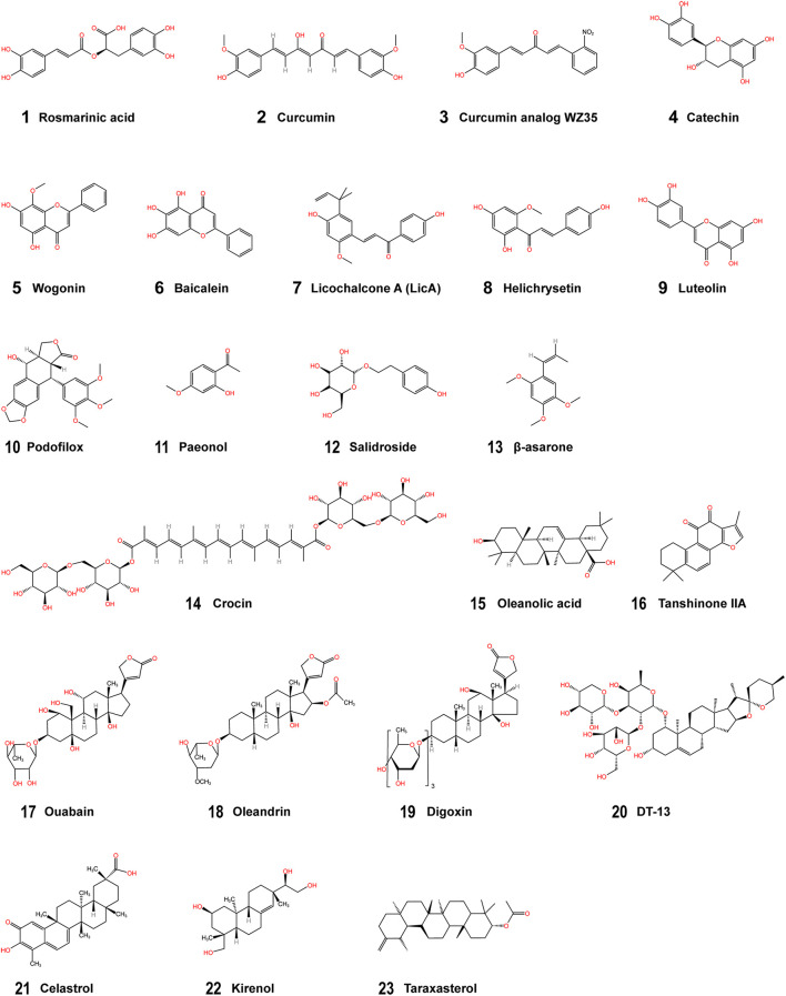 FIGURE 2