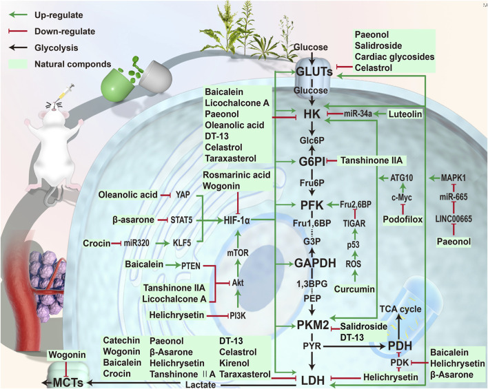 FIGURE 3