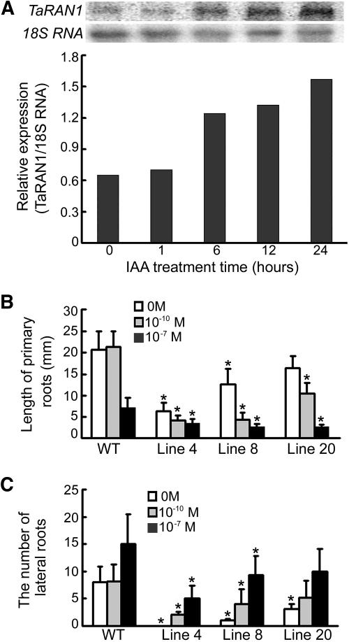 Figure 5.