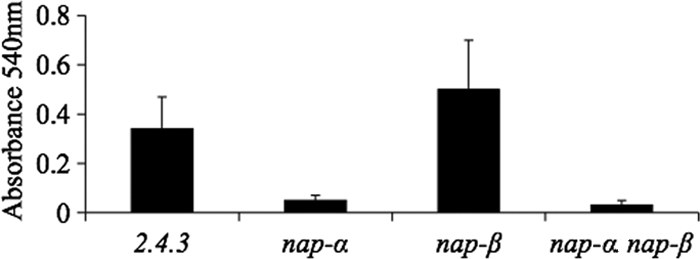 Fig. 5.