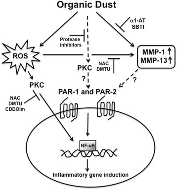 Fig. 11