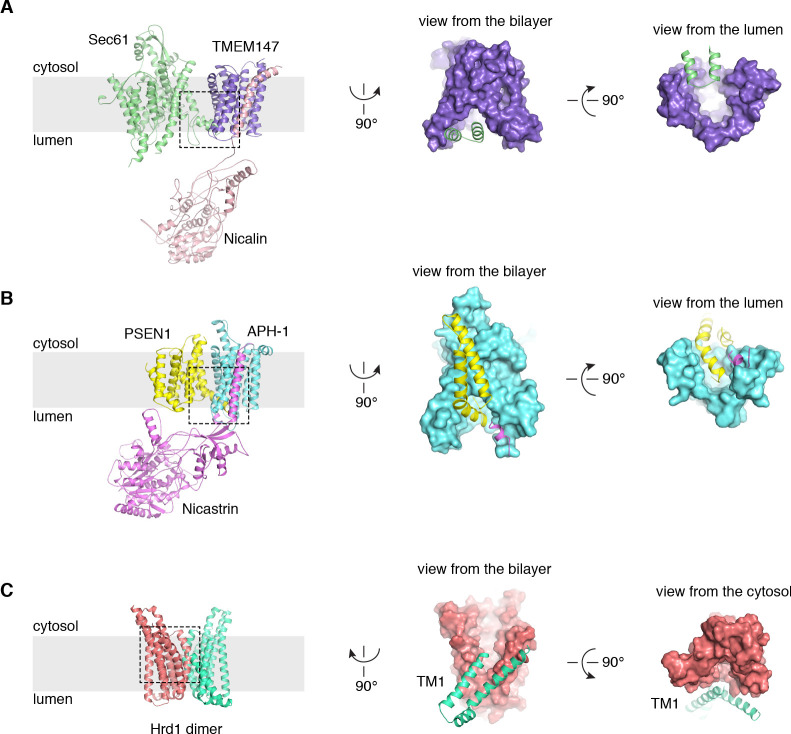 Figure 4—figure supplement 1.