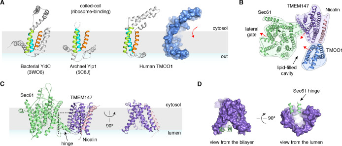 Figure 4.