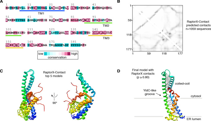 Figure 2—figure supplement 7.