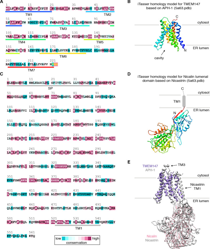 Figure 2—figure supplement 6.