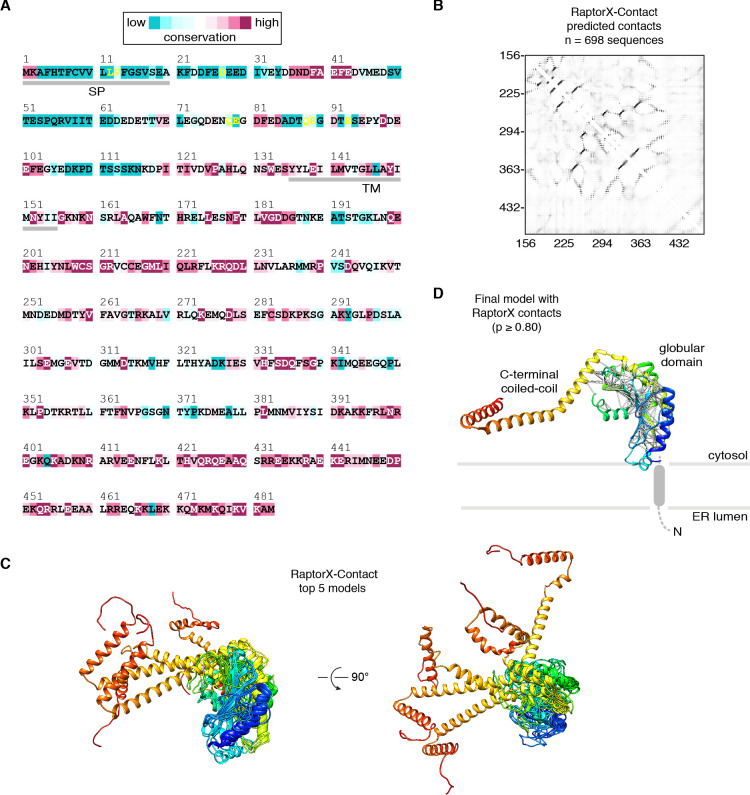 Figure 2—figure supplement 8.