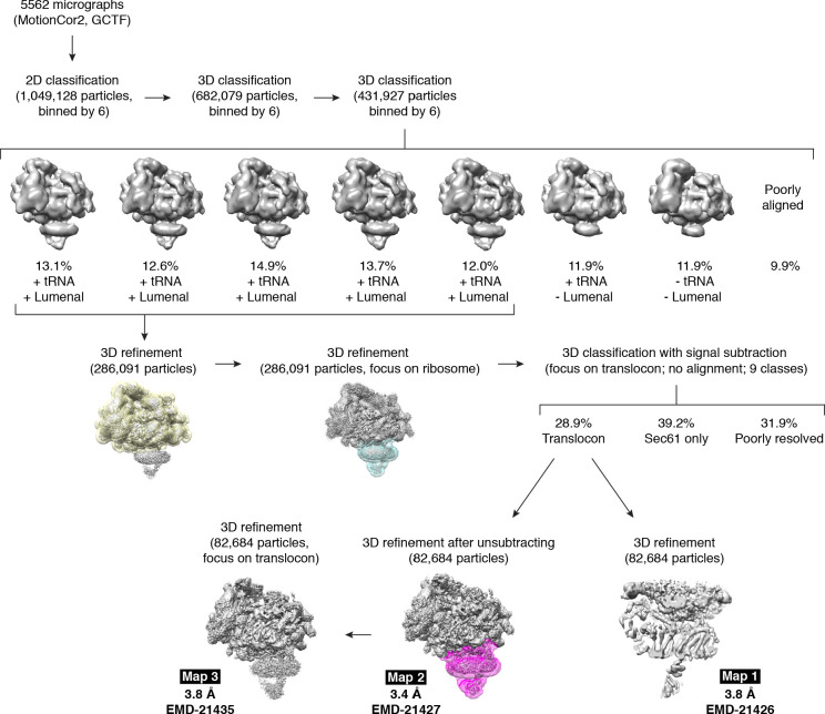 Figure 2—figure supplement 3.