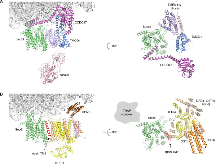 Figure 4—figure supplement 2.