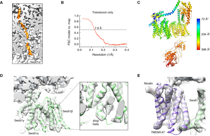 Figure 2—figure supplement 5.