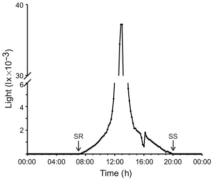 Fig. 1.