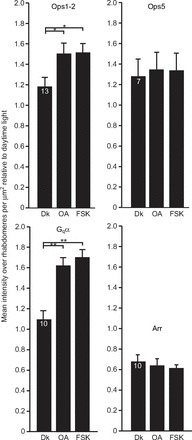 Fig. 9.