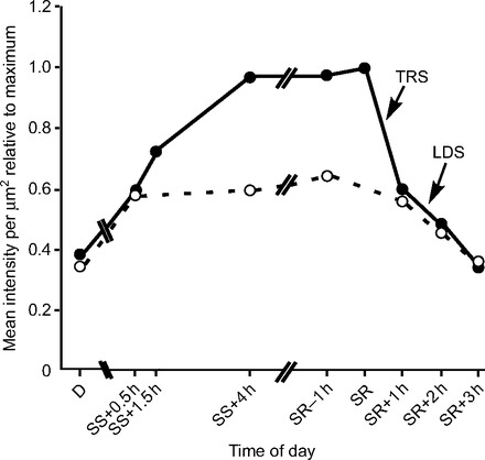 Fig. 10.