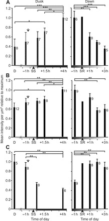 Fig. 7.