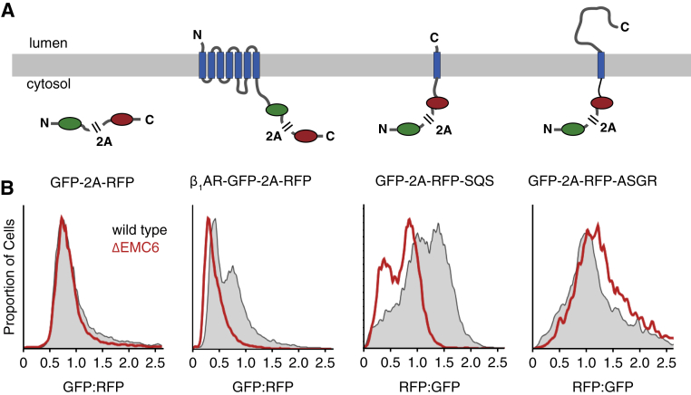 Figure S1