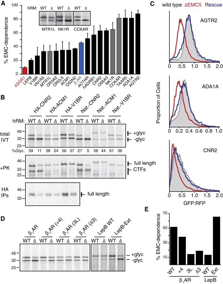 Figure 4