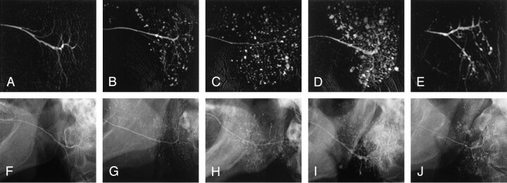 Fig 6.