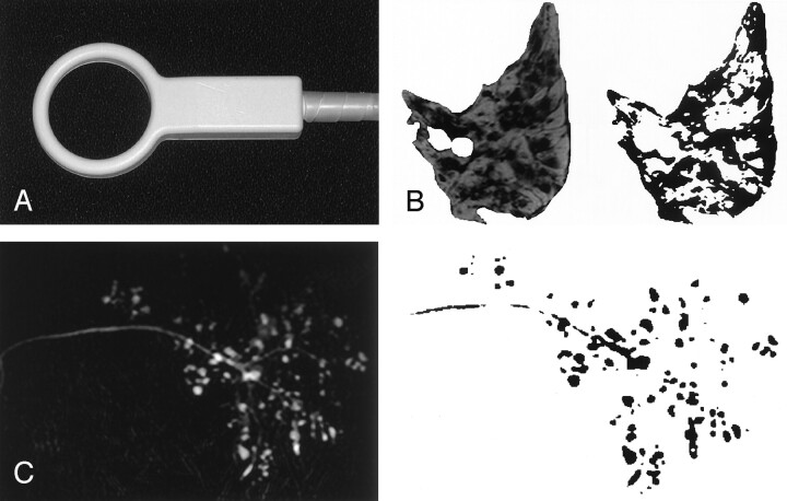 Fig 1.