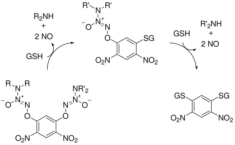 Scheme 5