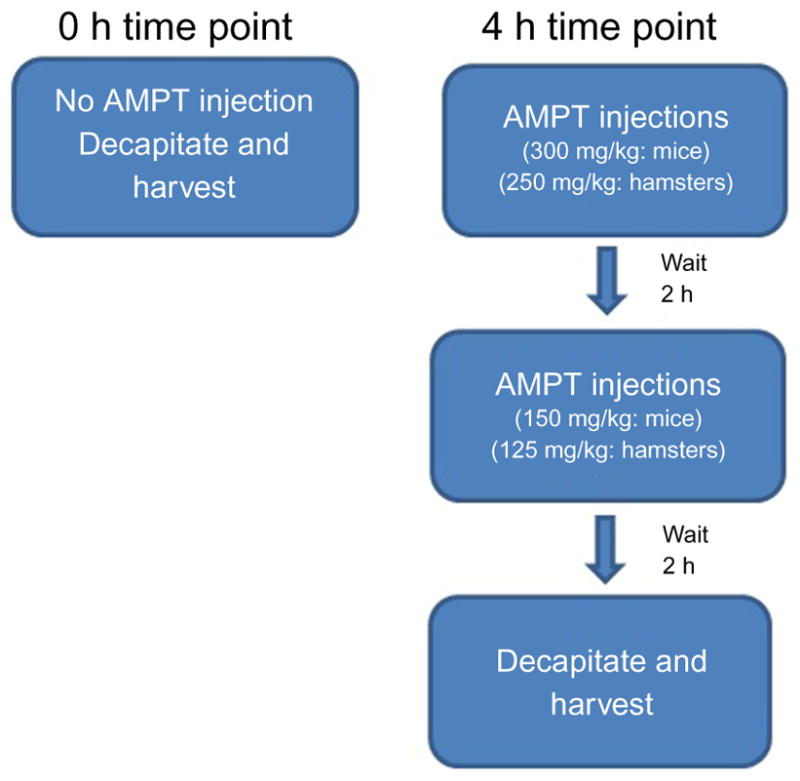 Figure 11.4