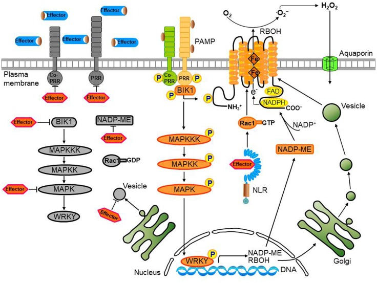 FIGURE 3