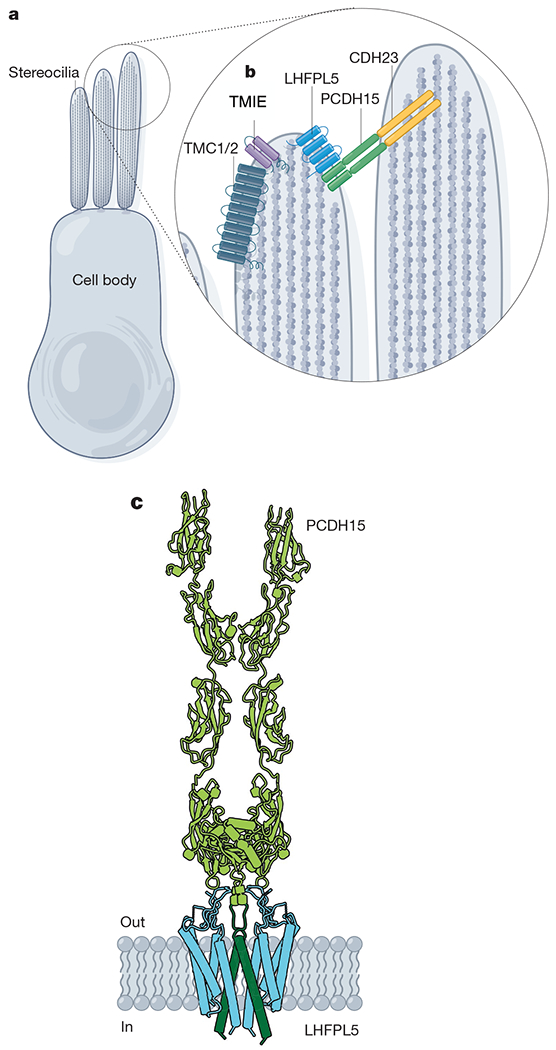 Fig. 4 |