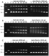FIG. 4