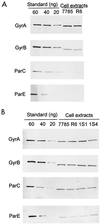 FIG. 7