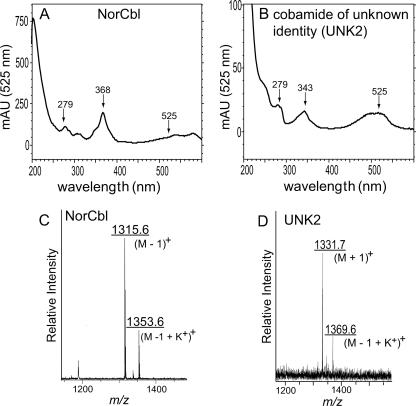 FIG. 9.