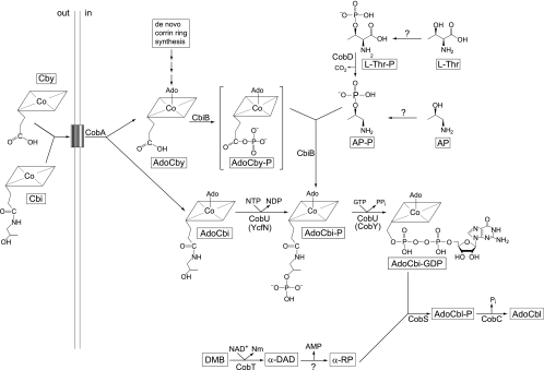 FIG. 1.