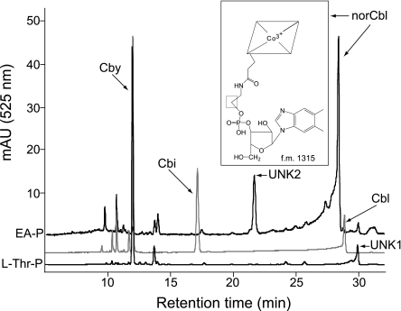 FIG. 7.