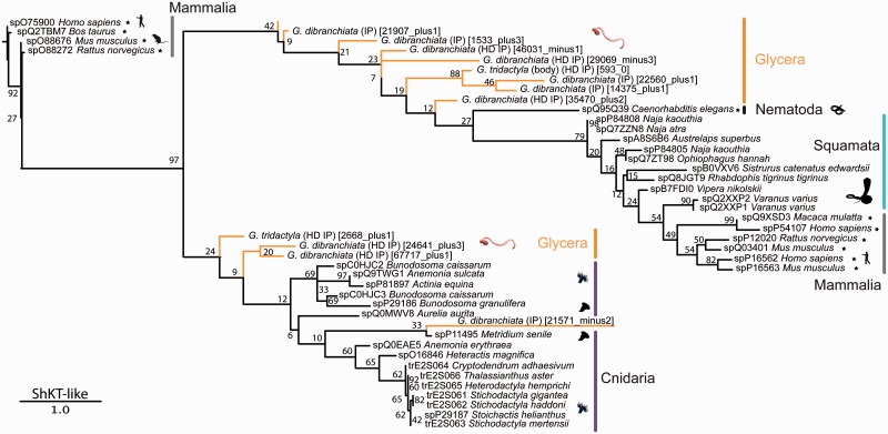 Fig. 7.—