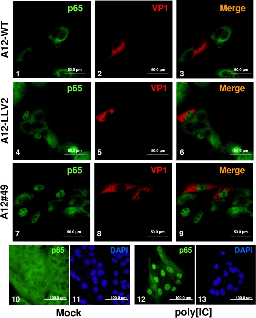 FIG. 4.