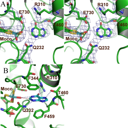 FIGURE 2.