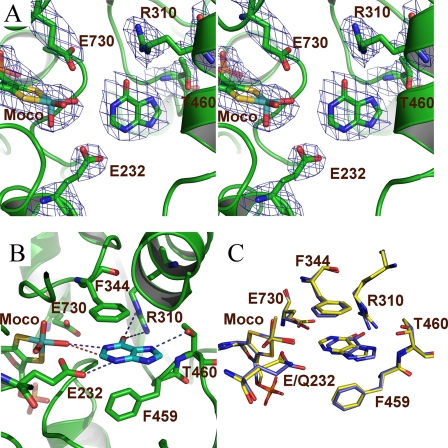 FIGURE 3.