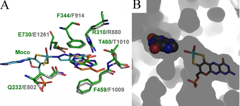 FIGURE 7.