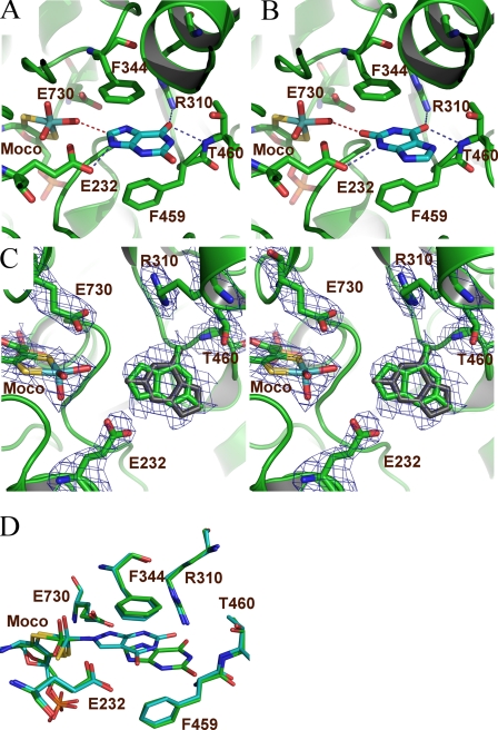 FIGURE 4.