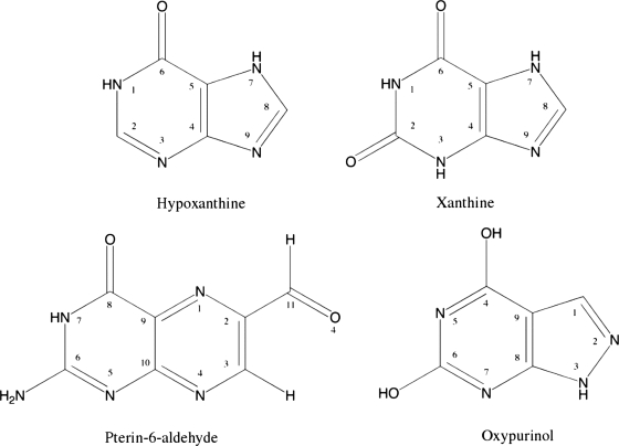 FIGURE 1.