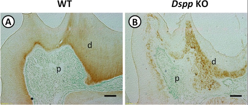 FIGURE 11.