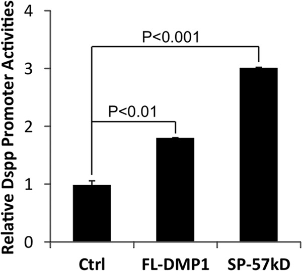 FIGURE 10.