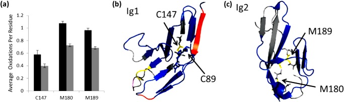 FIGURE 7.