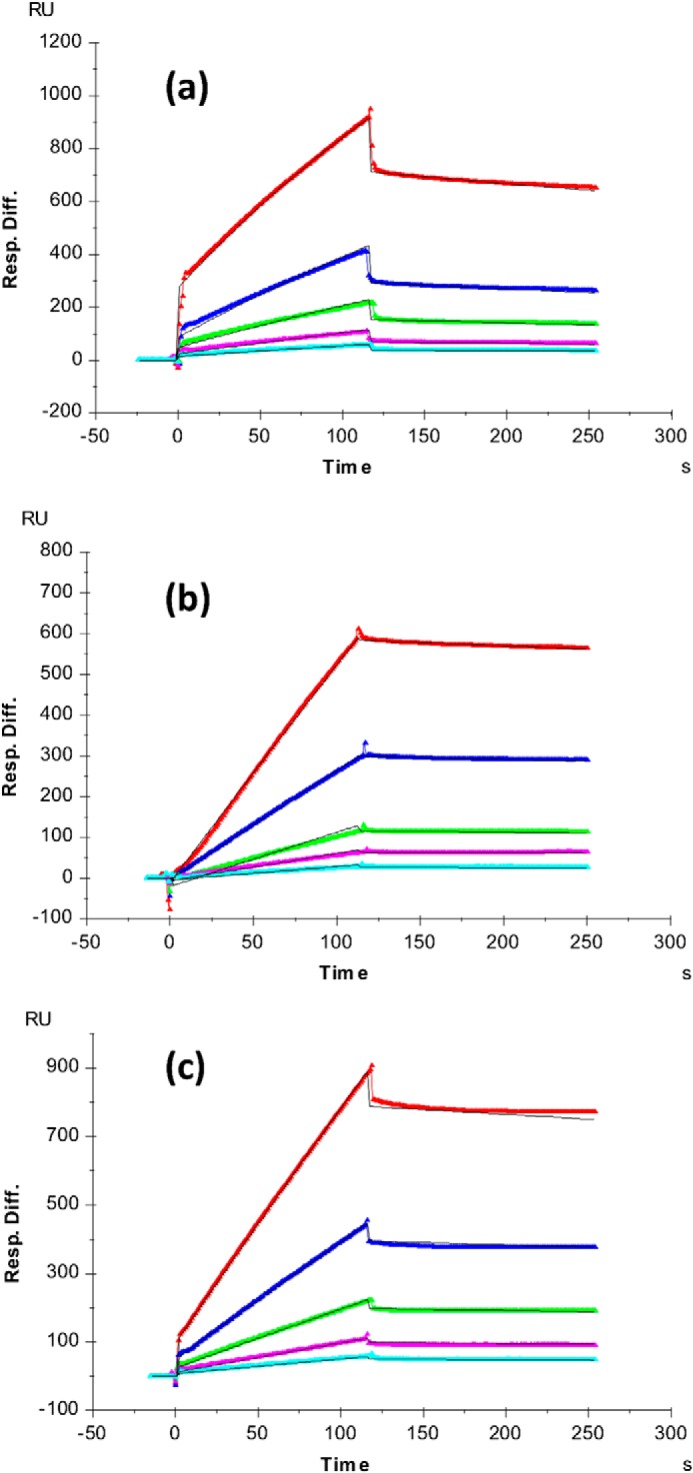 FIGURE 9.