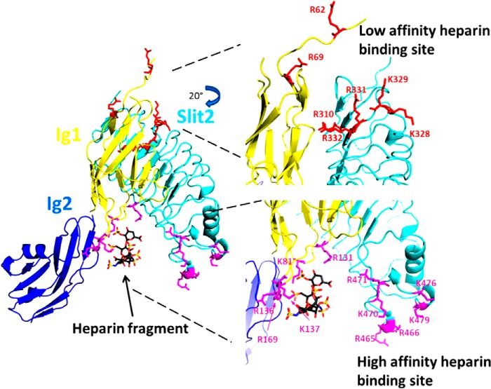 FIGURE 10.