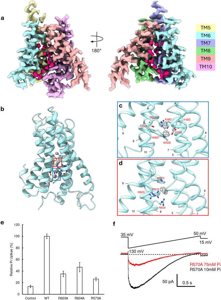 Fig. 4: