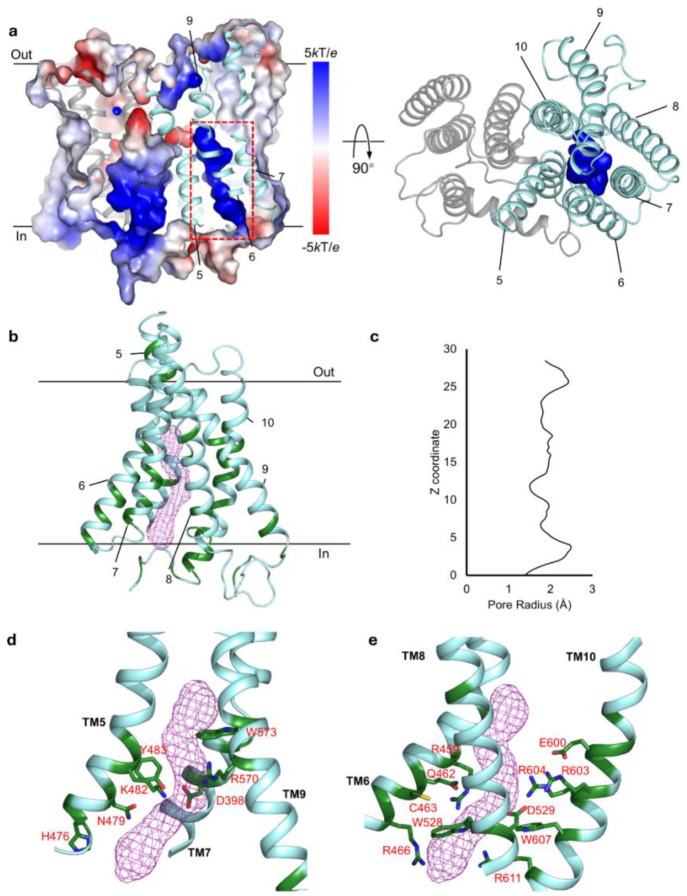 Fig. 3: