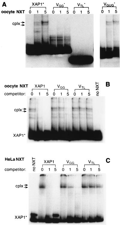 Figure 5